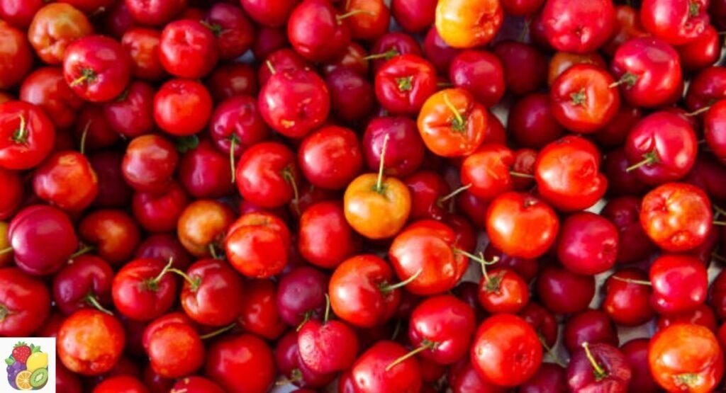 Acerola