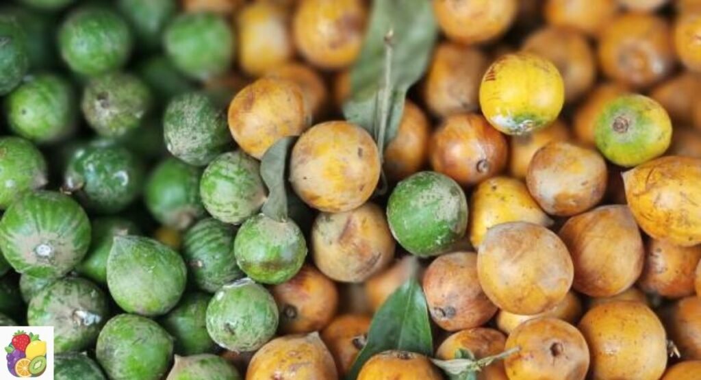 Agbalumo