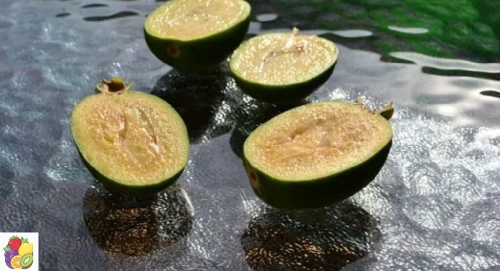 Ananas Guava