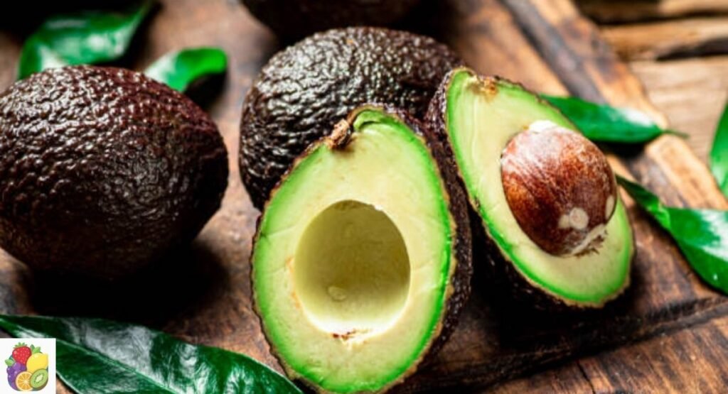 Avocado