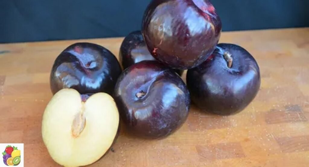 Black Beauty Plum