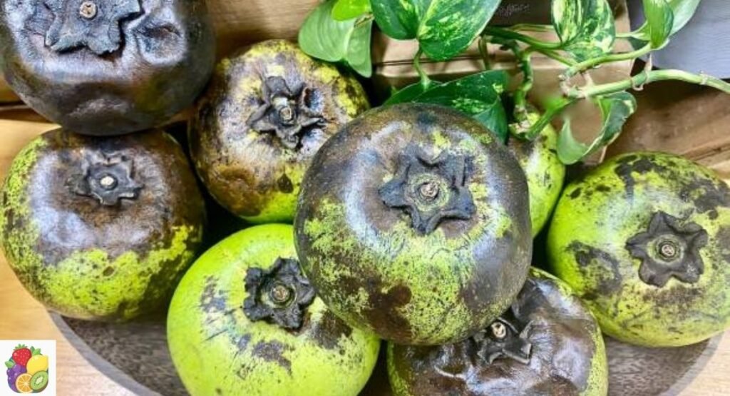 Black Sapote