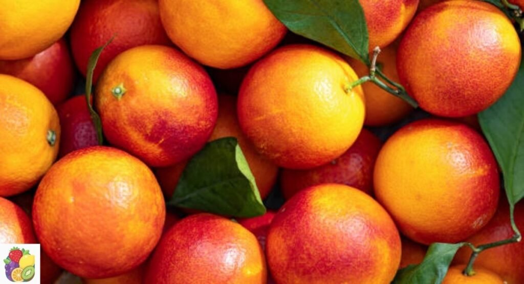 Blood Orange