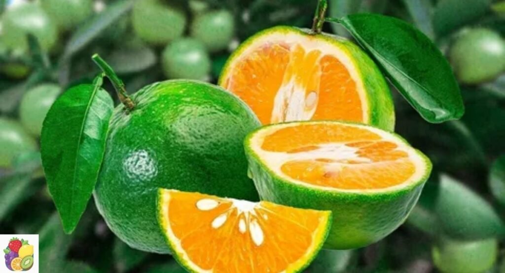 Calamansi