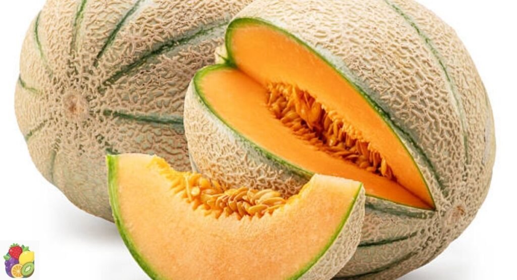 Cantaloupe