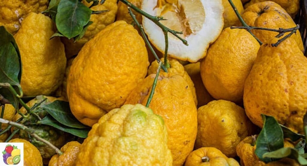 Citron