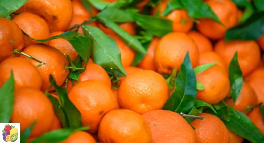 Clementine