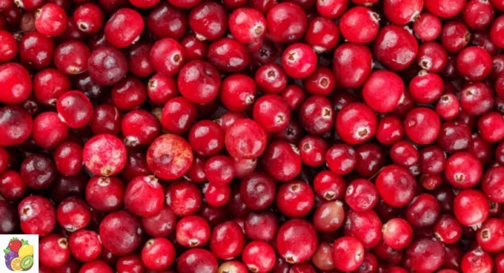 Cranberry