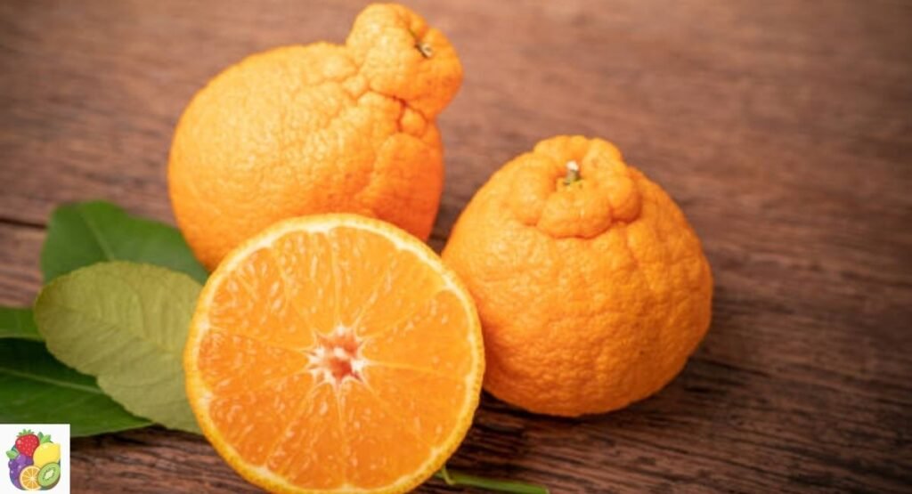 Dekopon