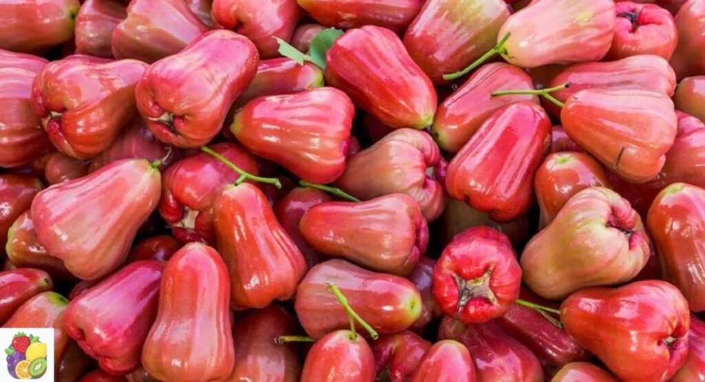 Desert Rose Apple