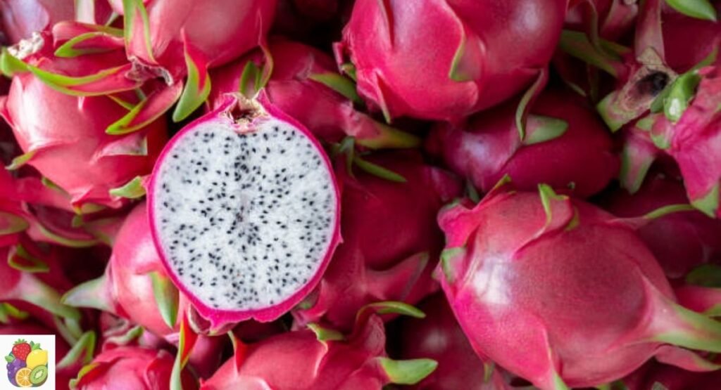 Dragon Fruit