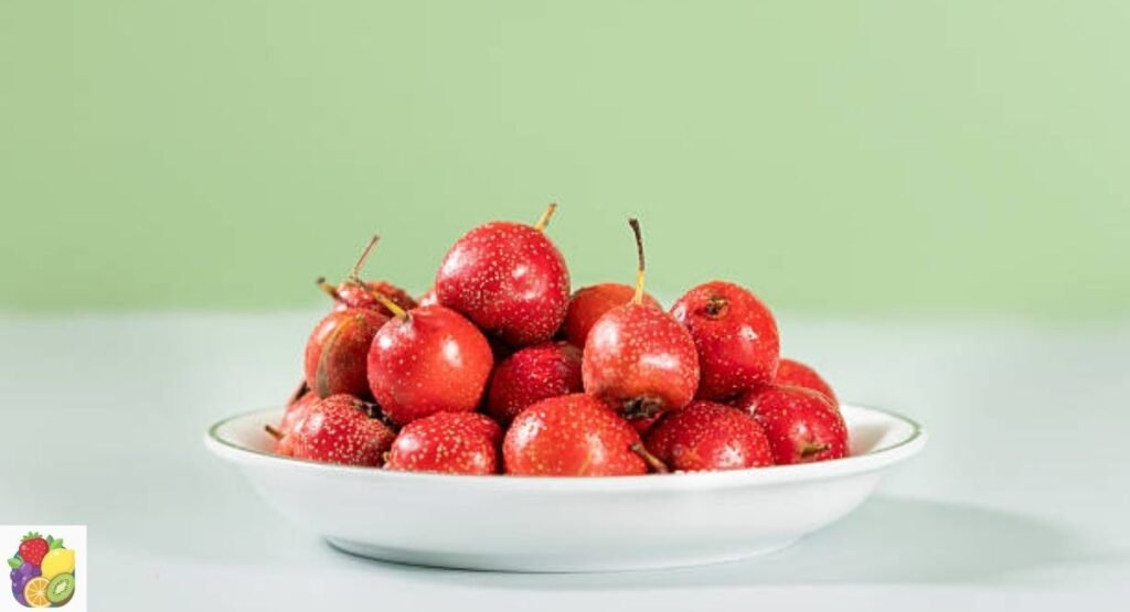 Eastern Hawthorn