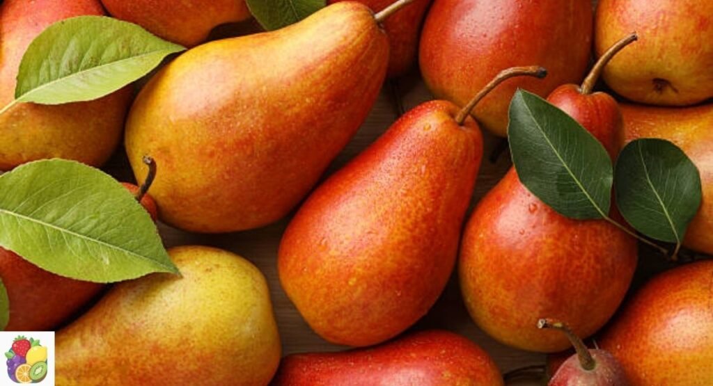 European Pear