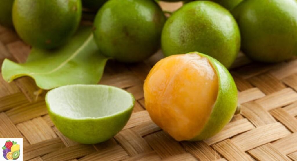Genip