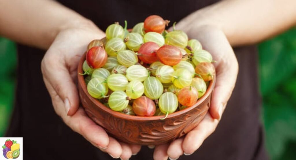 Gooseberry