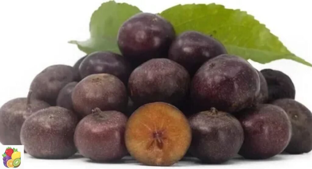 Governor’s Plum