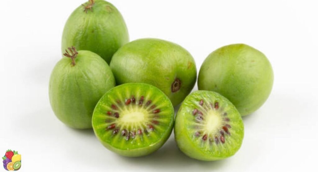 Hardy Kiwi
