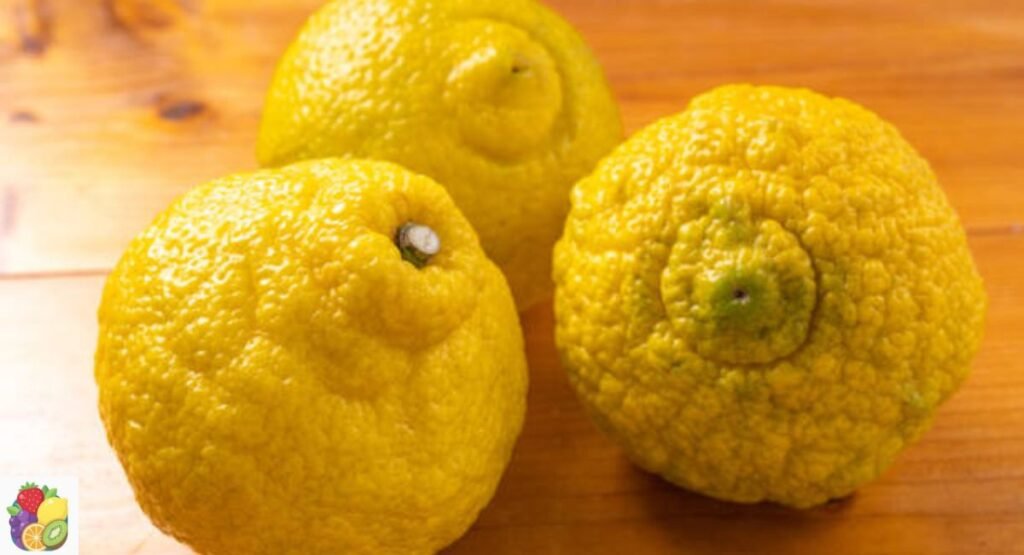 Haruka Citrus