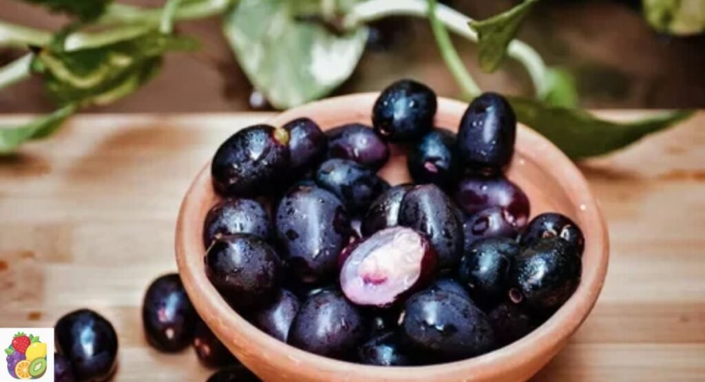 Indian Blackberry
