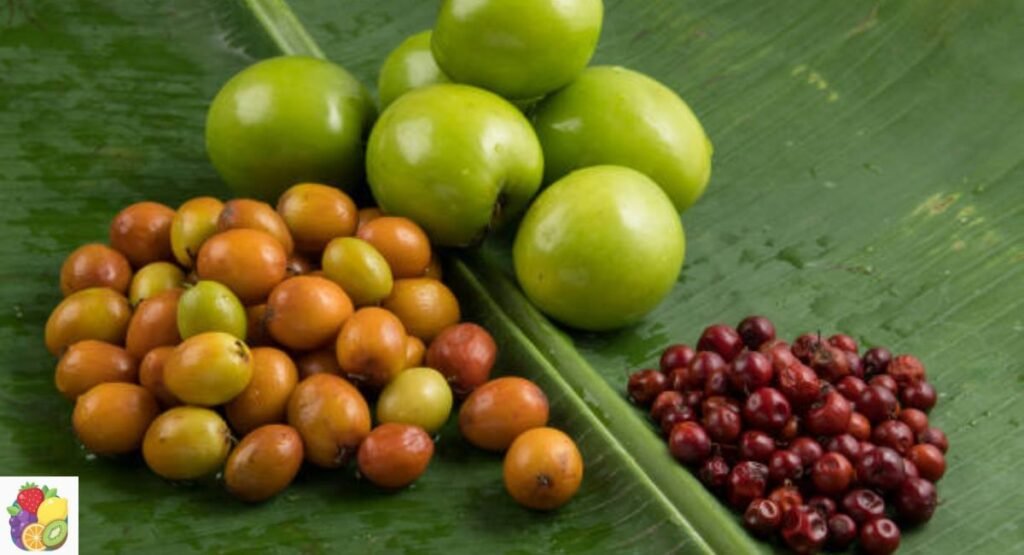 Indian Jujube (Ber)