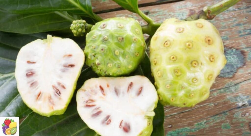 indian Mulberry (Noni)