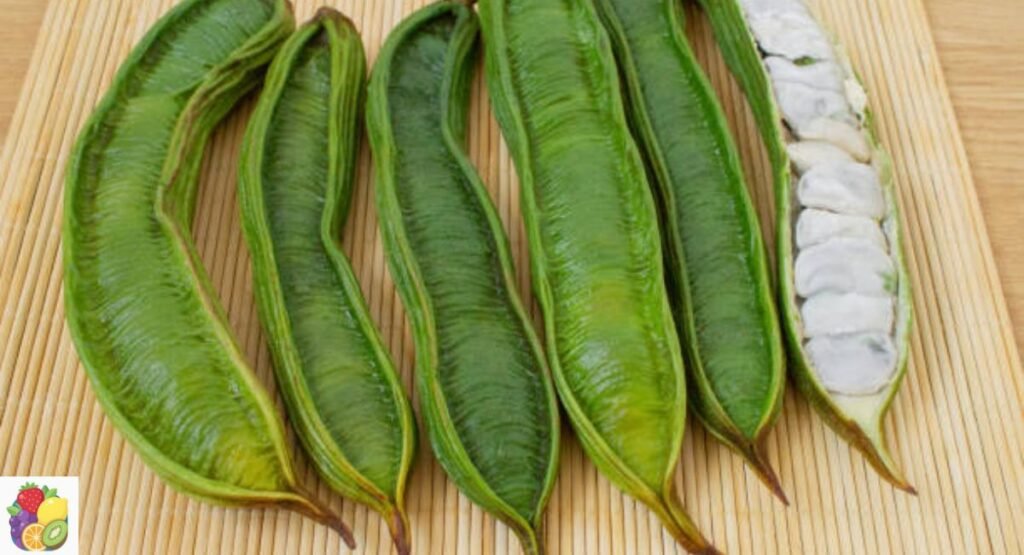 Inga Fruit