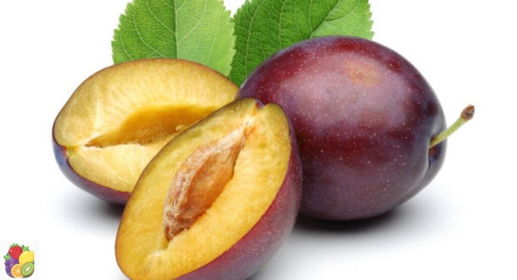 Italian Plum