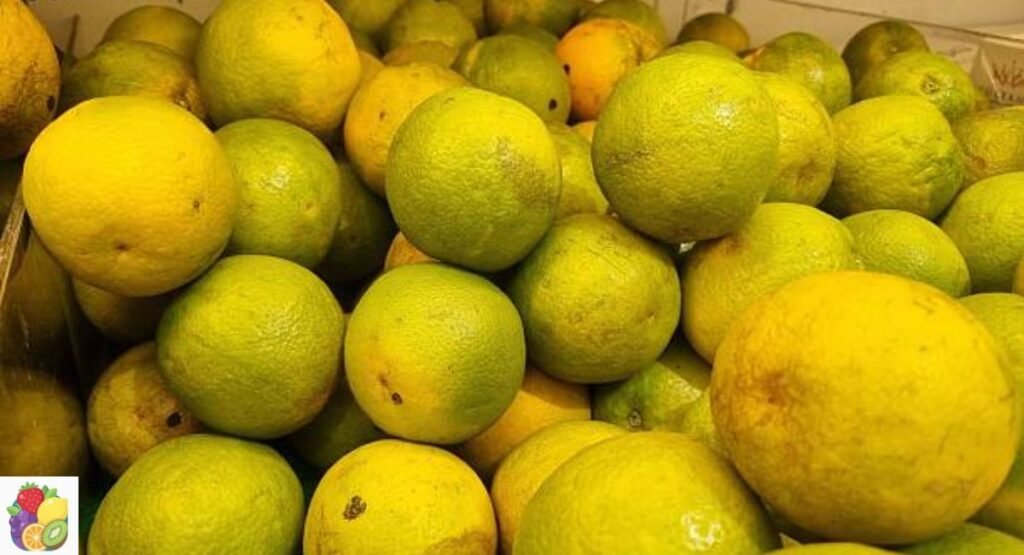 Jaffa Orange