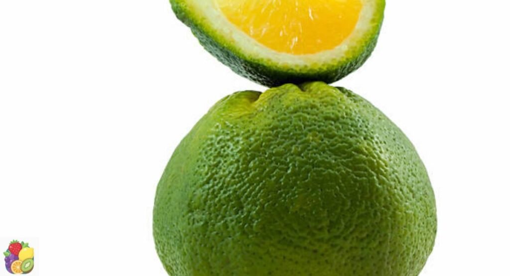 Jamaican Tangelo