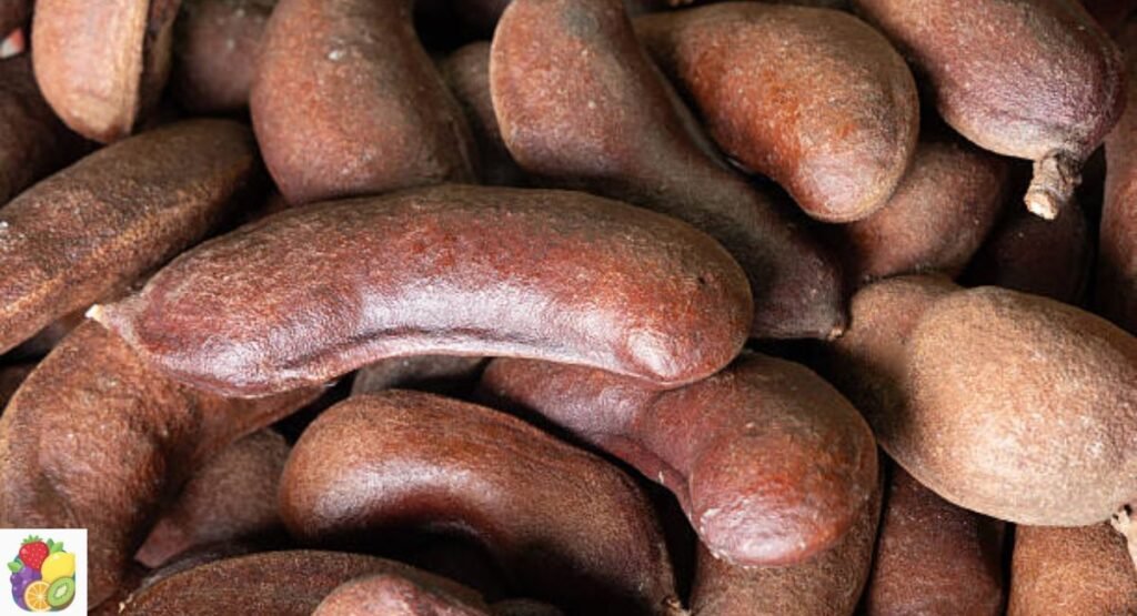 Jatoba Fruit