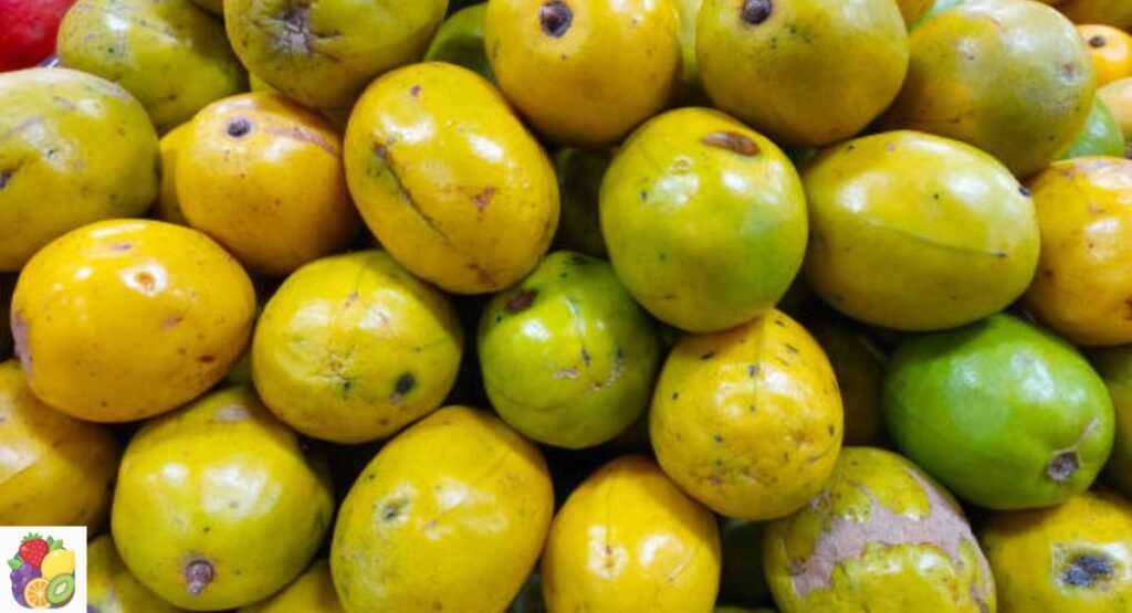 June Plum