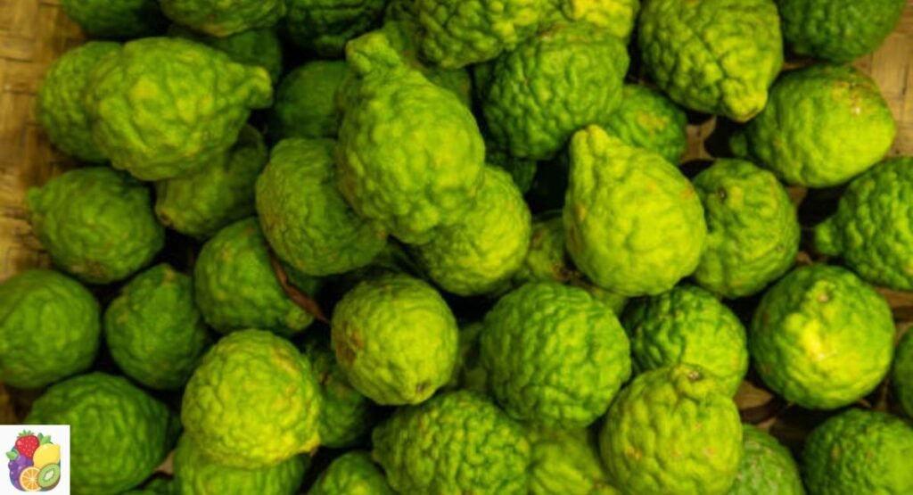 kaffir-lime