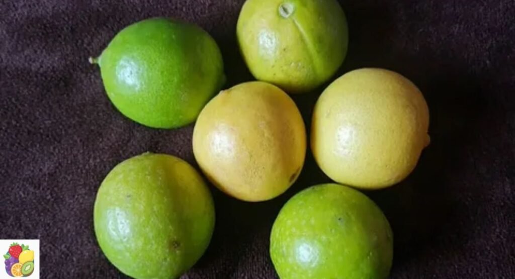 Key Lime