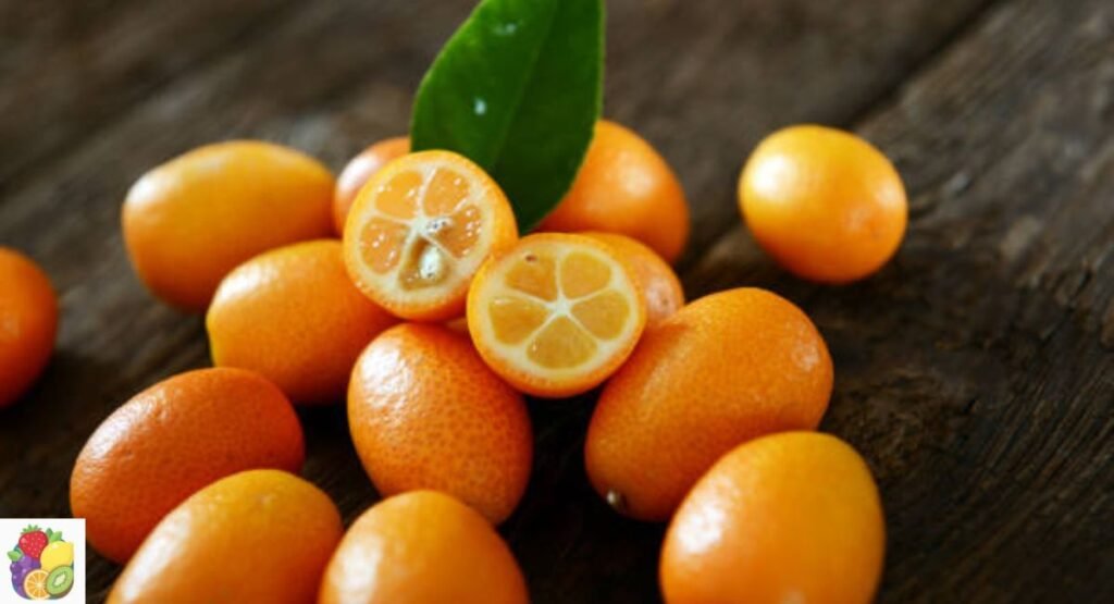 Kumquat
