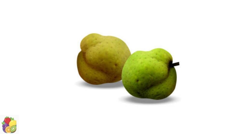 lakoocha