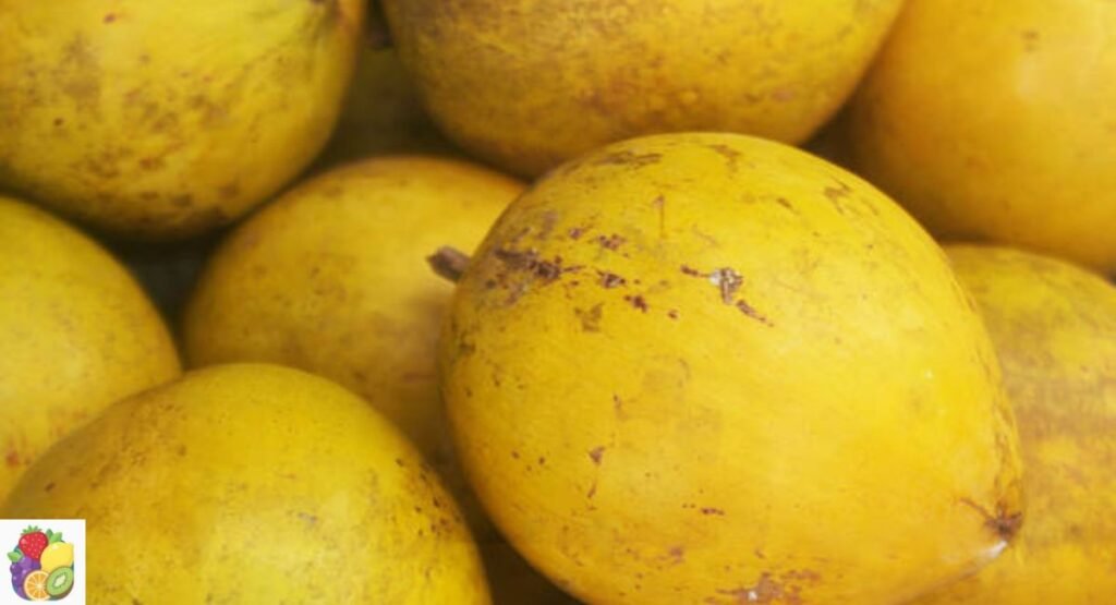 Lucuma