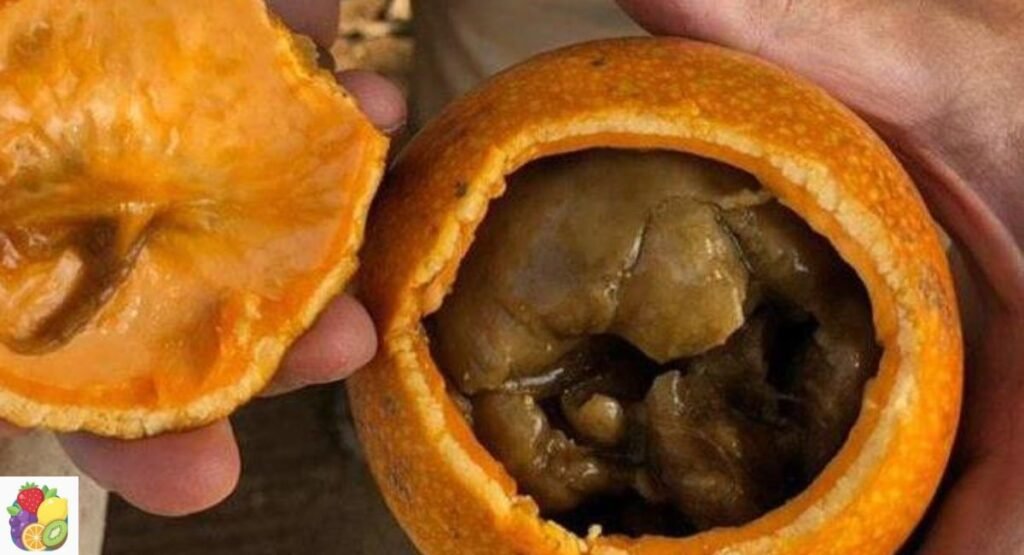 Monkey Orange