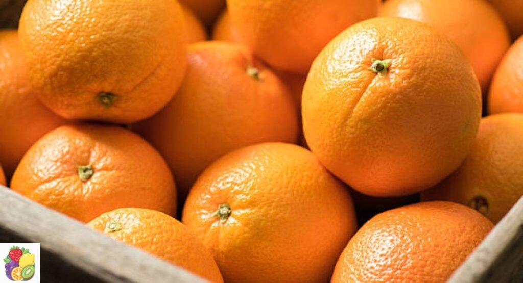 Navel Orange