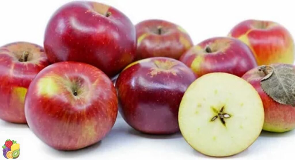 Northern Spy Apple