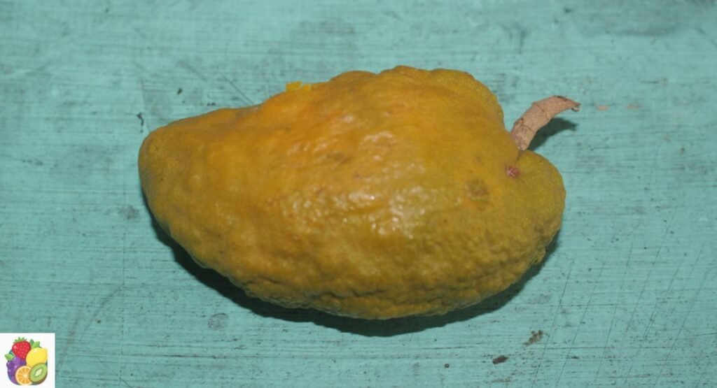 Olosapo
